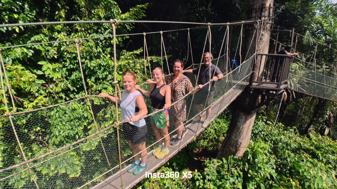 Day Trip