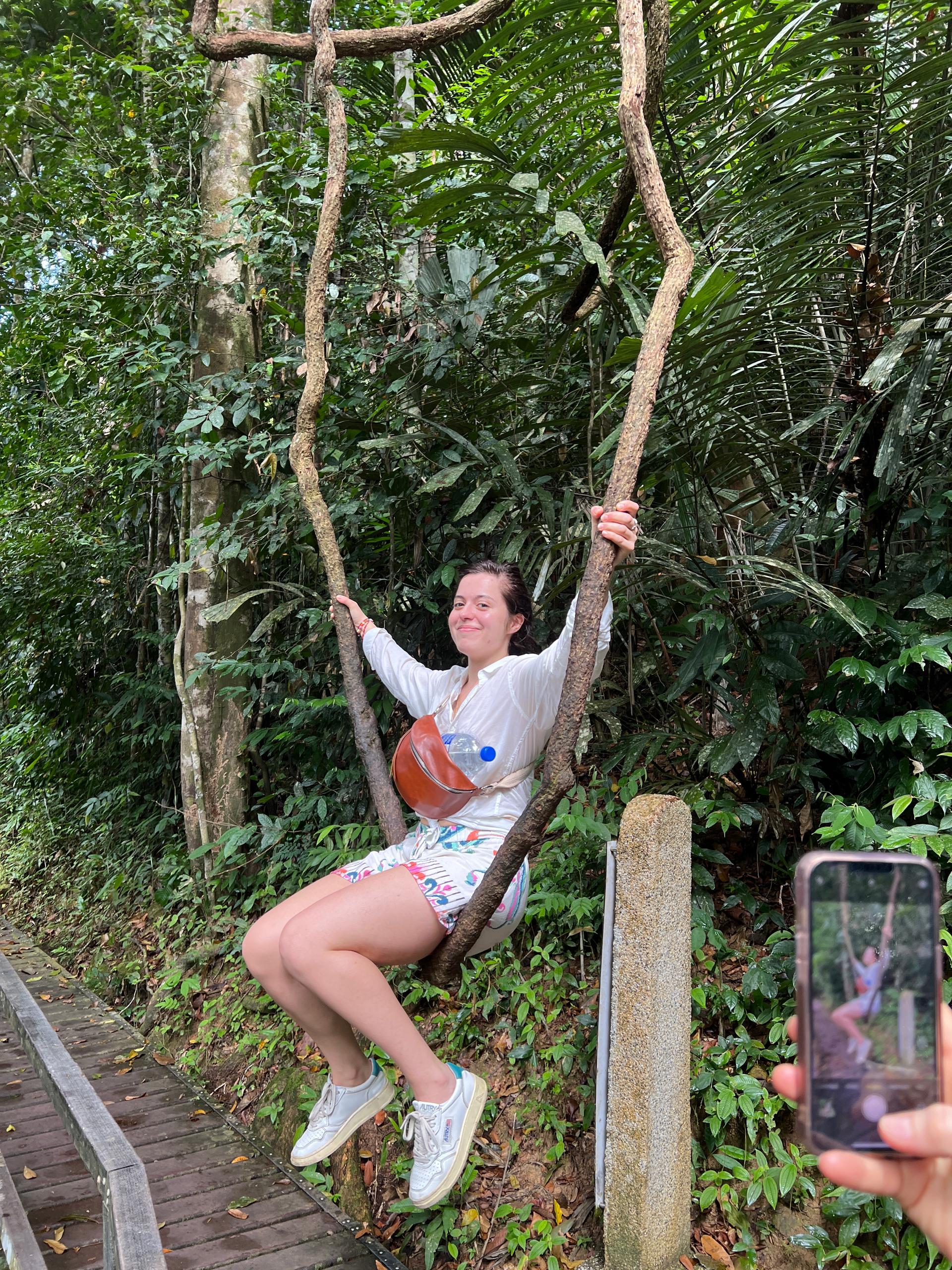Jungle adventure