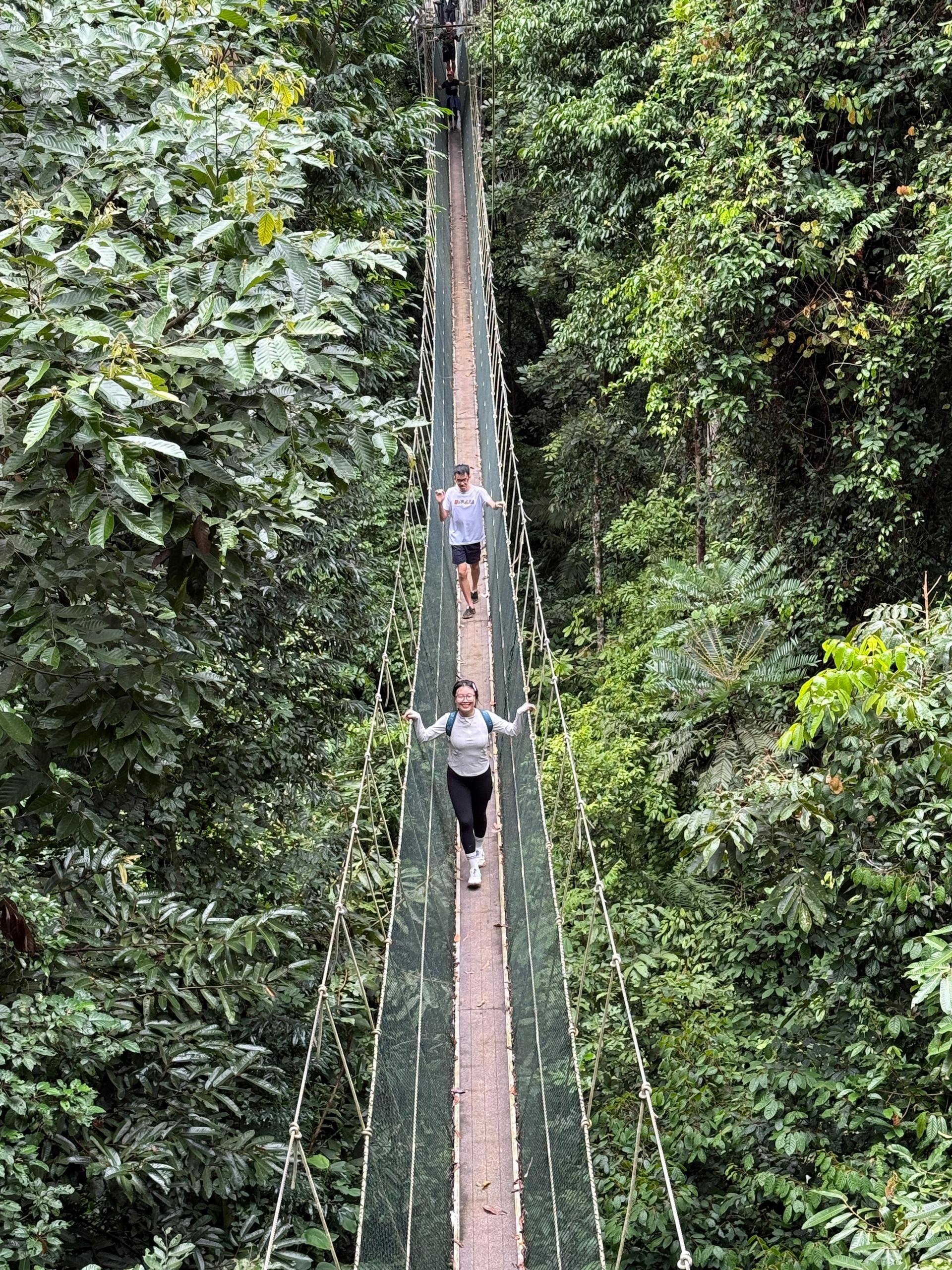 Canopy Walkway